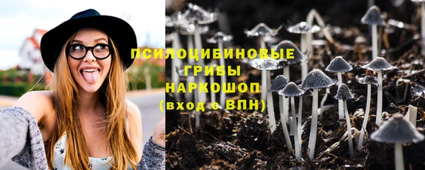 кристаллы Богородск