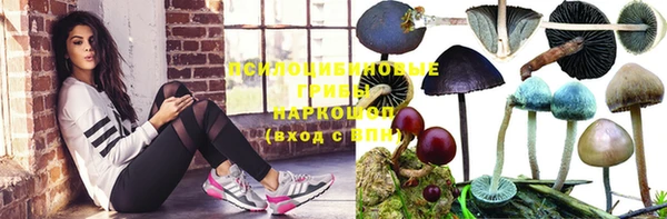 тгк Богданович