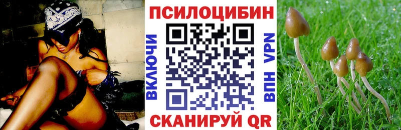 Псилоцибиновые грибы мухоморы  Бутурлиновка 